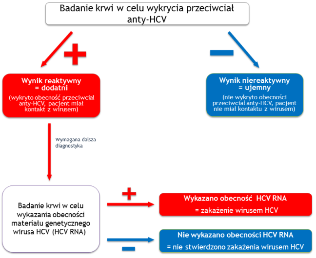 Schemat postępowania diagnostycznego w zakażeniach HCV . Opracowanie własne – zespół Projektu 5
